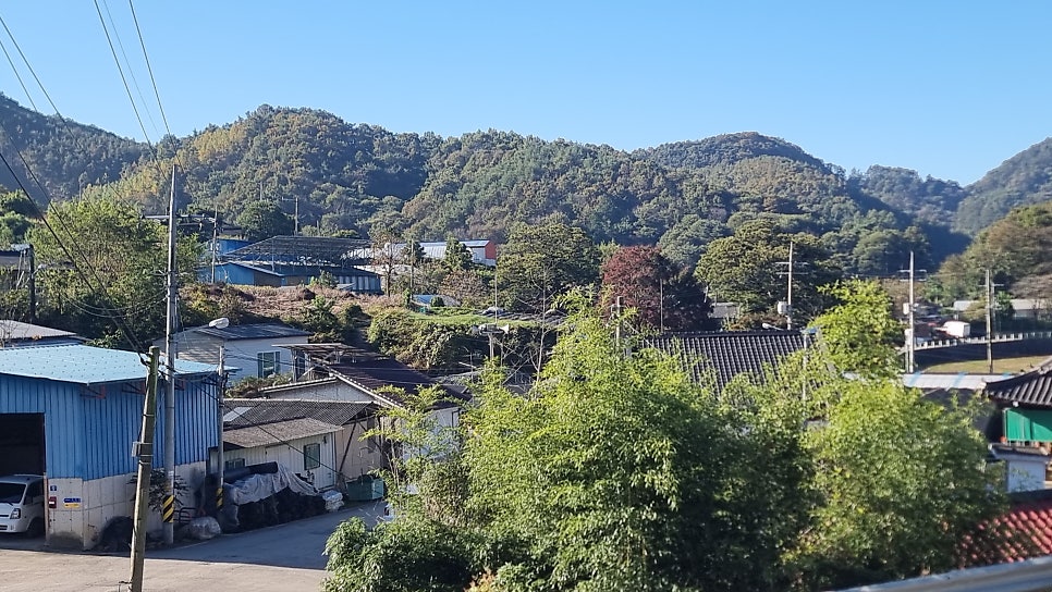 왼골 사진 5