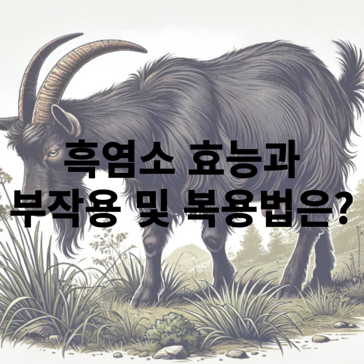  흑염소탕 즙 진액 한 마리 효능과 부작용은?!