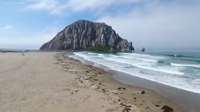  심리학관련자격증 , 심리상담사 자격증 한달 만에 취득한 방법 , 향후 전망