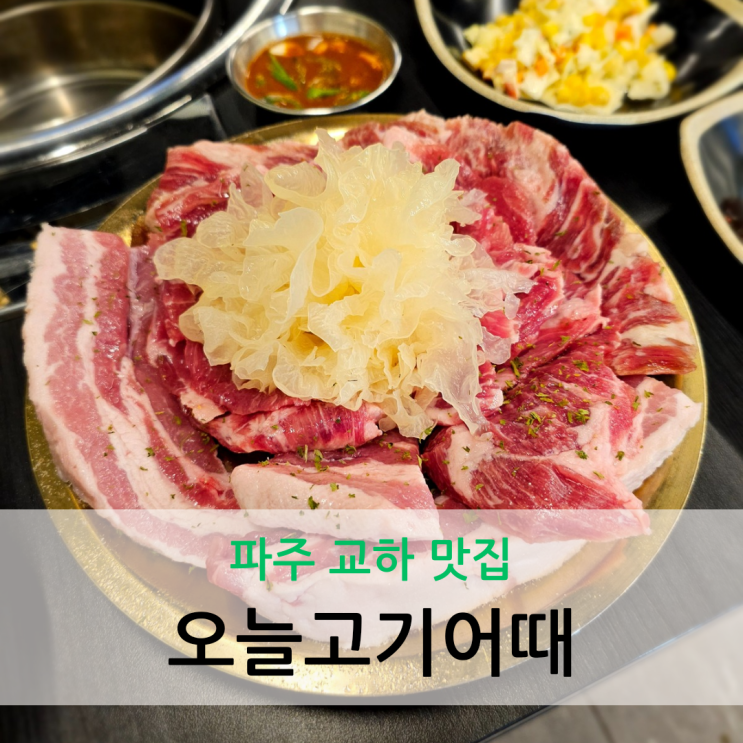  파주 교하 맛집 이베리코 황제살과 플루마 맛볼 수 있는 오늘고기어때