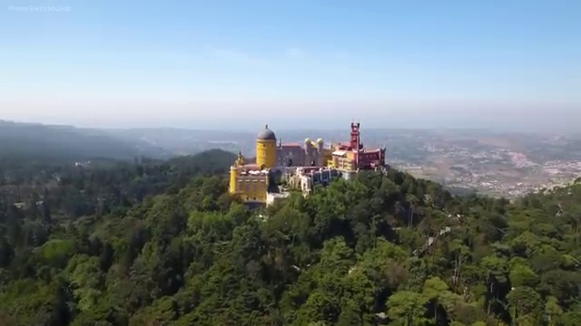 반려동물관리사취업 , 반려동물관리사 자격증 1달 만에 합격한 비법 및 구직정보