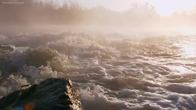  사회복지 공무원시험자격 , 사회복지사2급 직장인도 학은제로 편하게