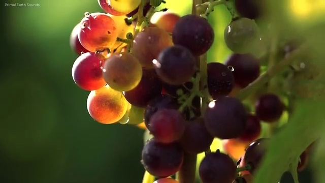 학점은행 편입 , 학점은행제 편입 필요할까요? 기간 단축 비용부담 절감 방법 확인하고 싶다면
