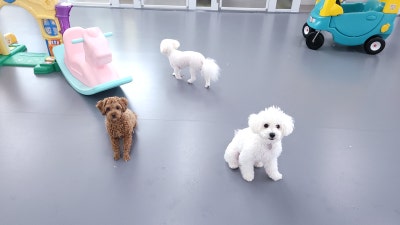 사진 3