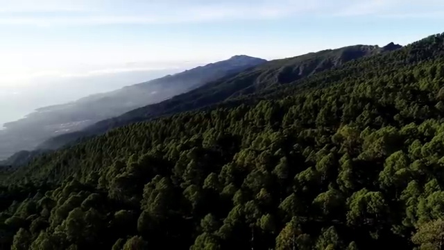  병원동행매니저 급여 15일 만에 병원동행매니저 자격증 취득했던 후기
