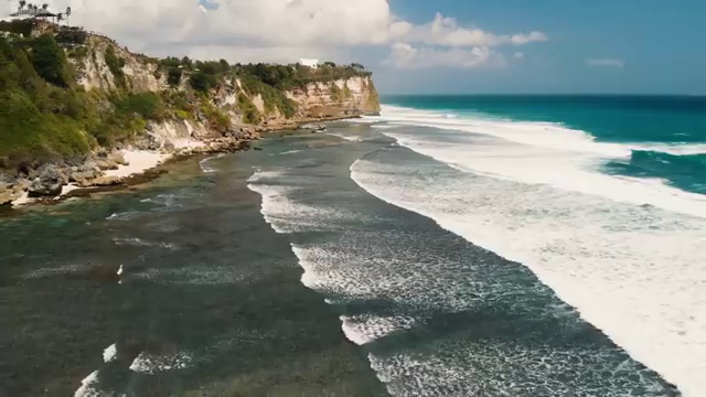  타로마스터 자격증 , 타로상담전문가 온라인으로 타로상담전문가자격증 취득한 방법
