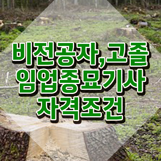  임업종묘기사 필기 과목 임업종묘기사 응시조건 학점은행제로 쉽고 빠르게 준비한 과정