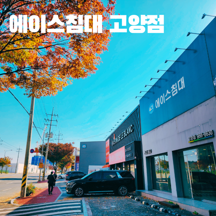  고양 일산에이스침대 매장 매트리스