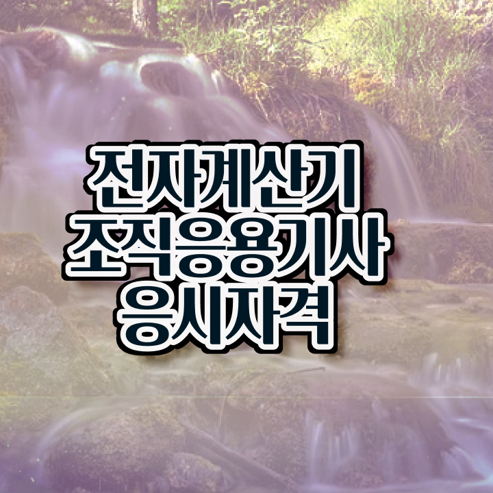  전자계산기조직응용기사 채용 전자계산기조직응용기사 응시조건 집에서 온라인으로 빠르게 준비한 노하우