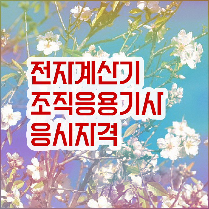  전자계산기조직응용기사 응시자격 서류제출 전자계산기조직응용기사 시험응시자격 집에서 온라인으로 쉽고 빠르게 준비한 후기