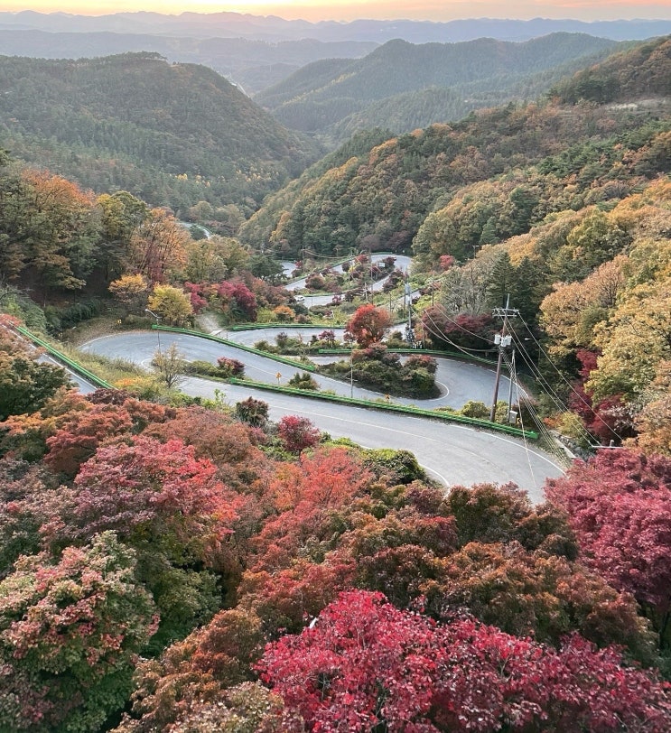  [충북/보은여행] 속리산 단풍 일몰 명소 말티재 전망대 꼬부랑길 가볼만한곳 추천