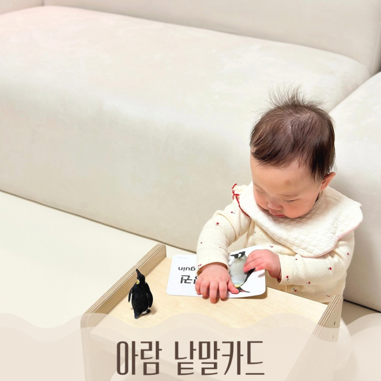  아기 낱말카드 추천 돌아기 낱말카드 아람 코코 실사 낱말카드 한글 영어 세이펜