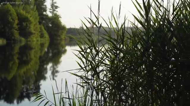  대구사회복지공무원 , 사회복지사2급 학력 상관없이 학은제 활용하여 수월하게