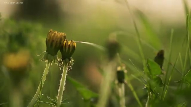  아동미술지도사 자격증 , 아동미술지도사 자격증 1급,2급 동시에 취득했던 후기 및 고용 전망