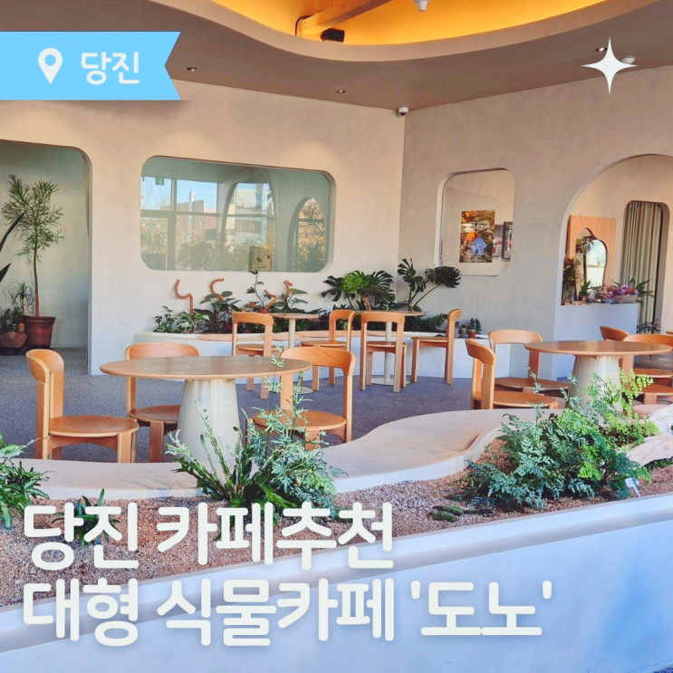  당진카페 추천 당진 최초 대형 식물카페 '도노' 내돈내산 방문후기