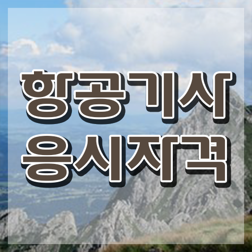  항공기사 자격요건 온라인으로 쉽고 빠르게 성공한 전략