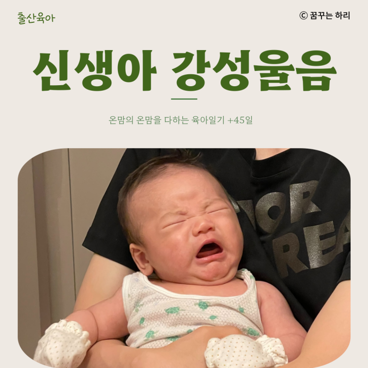  온맘의 온맘을 다하는 육아일기 D+45일 신생아 7주차 수유텀 수면시간 신생아강성울음 강성울음원인