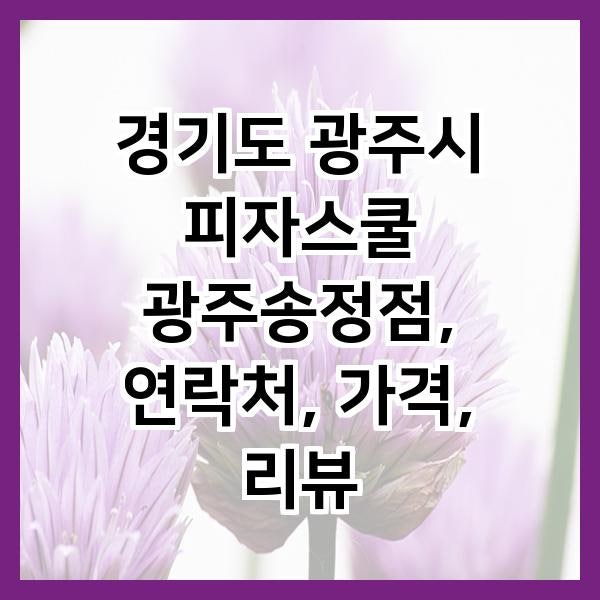 피자스쿨 광주송정점 사진 1