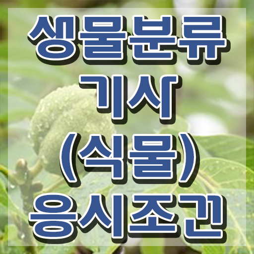  생물분류기사(식물) 시험응시자격 학점은행제로 쉽고 빠르게 성공한 노하우