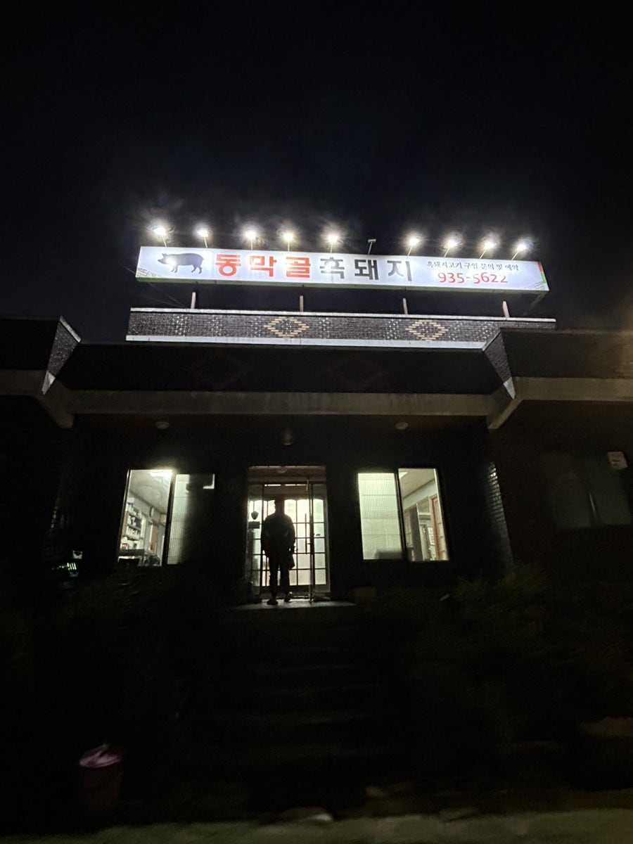 동막골흑돼지 사진 2