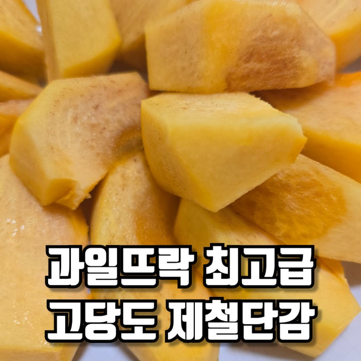  과일뜨락 최고급 고당도 제철단감