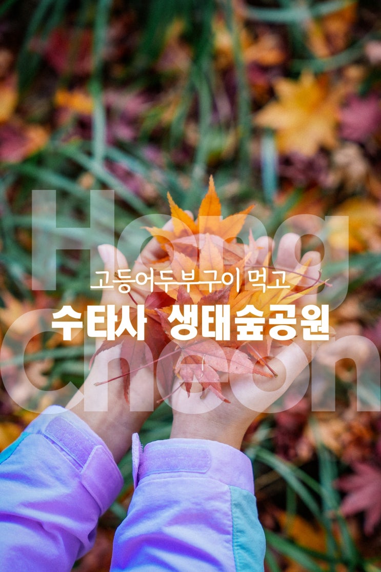  1박2일 강원 홍천 여행 코스 공작산 수타사 생태숲공원 고등어두부구이