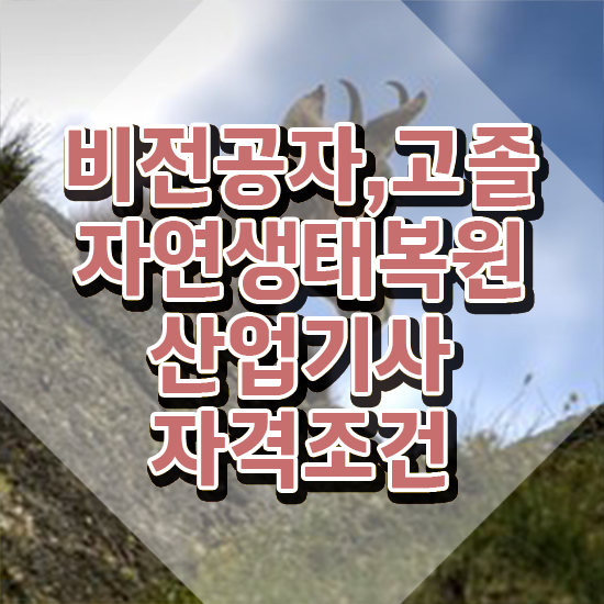  자연생태복원산업기사 필기 접수기준 자연생태복원산업기사 시험자격 학점은행제로 편하게 성공한 비법
