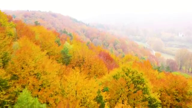  초등돌봄교사면접 , 방과후돌봄교실지도사 자격증 온라인으로 간단히 합격한 팁 최신정보 공유