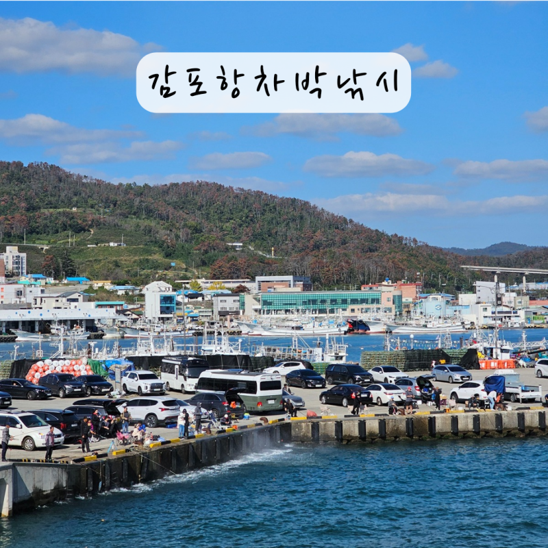 사진 4