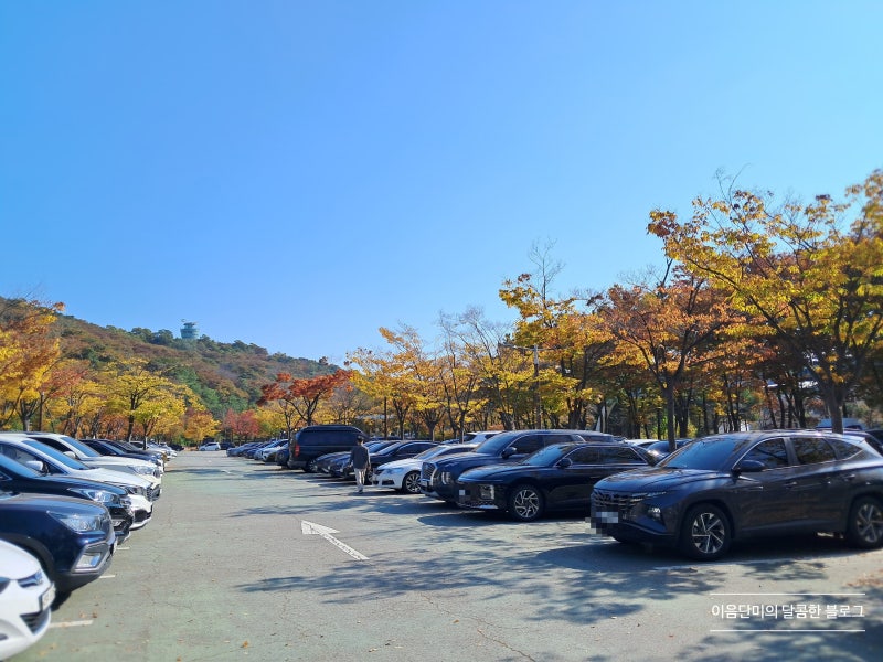 사진 5