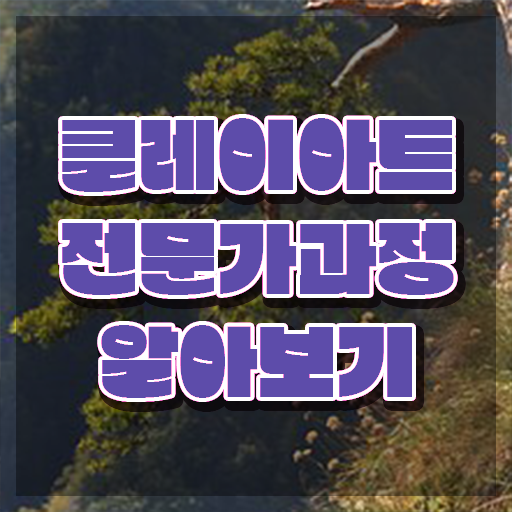  클레이공예배우기 , 클레이아트전문가 자격증 비용없이 온라인으로 준비한 과정 , 취업