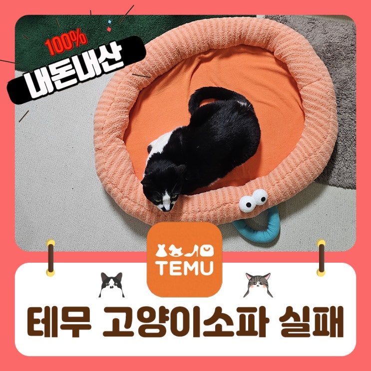  테무 고양이용품 쇼핑 실패후기