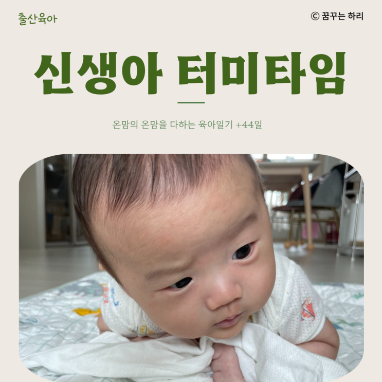  온맘의 온맘을 다하는 육아일기 D+44일 신생아 7주차 수유텀 수면시간 터미타임 신생아터미타임 주의사항