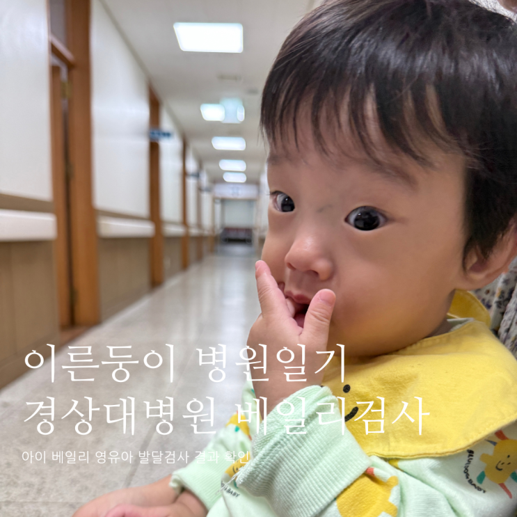 이른둥이 병원일기 베일리영유아발달검사 결과 확인 베일리검사 이른둥이 병원일기 베일리영유아발달검사 결과 확인 베일리검사