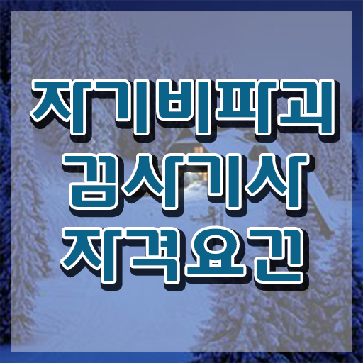  자기비파괴검사기사 시험 일정 , 동영상으로 자기비파괴검사기사자격증 공부한 방법