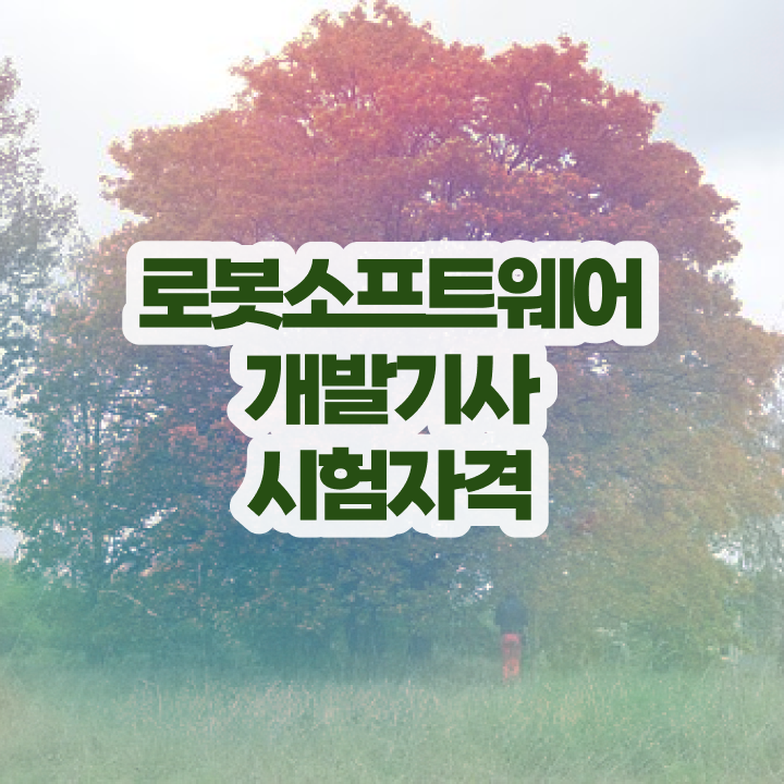  로봇소프트웨어개발기사 시험 자격 로봇소프트웨어개발기사 시험응시자격 인강으로 단기간에 성공한 과정