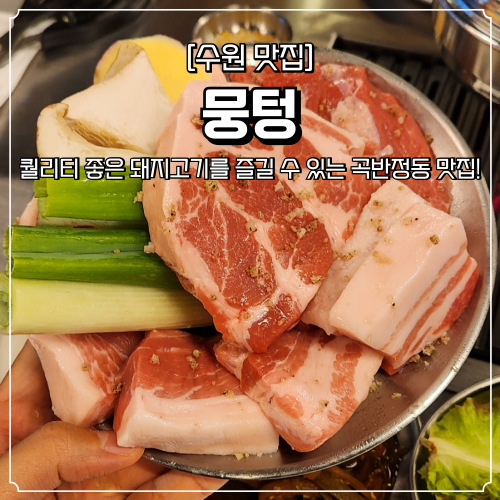  수원 곡반정동 고기집 뭉텅 신상 돼지고기 맛집