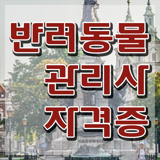  반려동물목욕관리사 , 반려동물관리사 자격증 취득한 노하우 알아보기