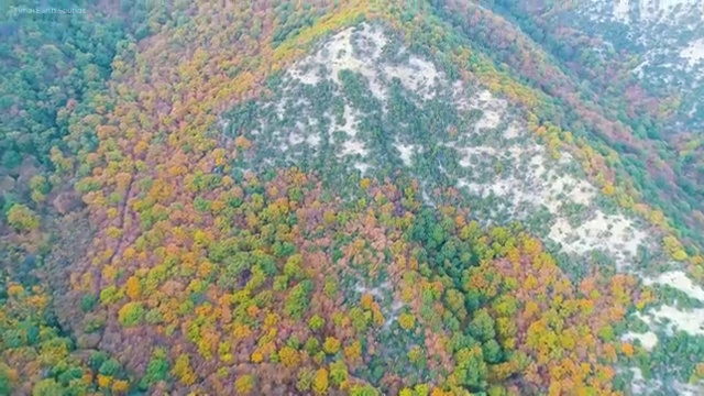  아동심리상담사시험 , 아동심리상담사 자격증 2주 만에 합격한 후기 정보 가득