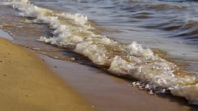  리부케 플로리스트 , 플로리스트 자격증 학습한 후기 요점정리