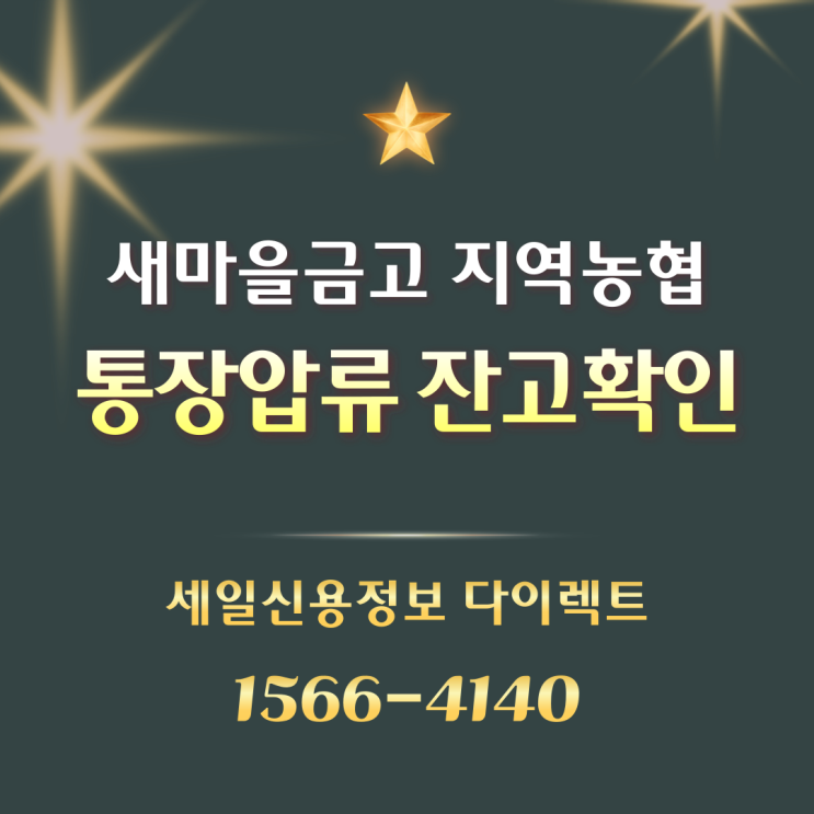  새마을금고 지역농협 통장 압류 계좌 잔고 확인