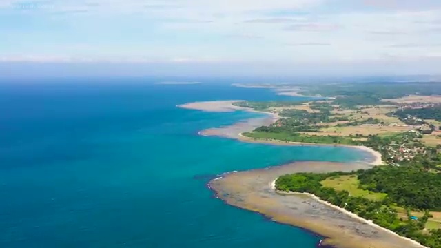 리부케 플로리스트 , 플로리스트 자격증 합격한 팁 정리해봤어요