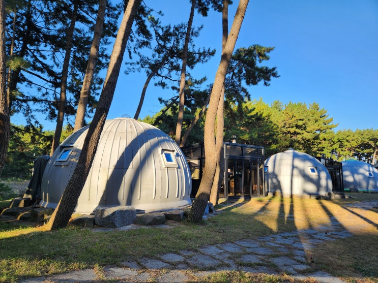  서천글램핑 예쁜 숙소 [장항글램핑] 숲과 바다 속 감성 캠핑장 추천