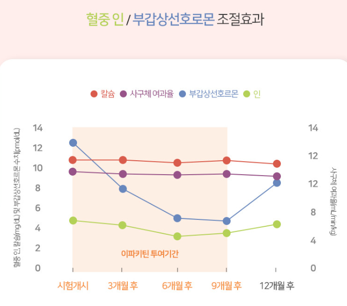 고양이 신장 보조제