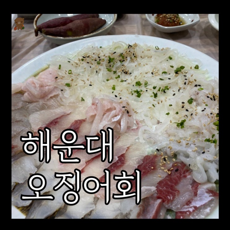  해운대오징어회 빨간산오징어 제철 산오징어와 활어회 세트 구성