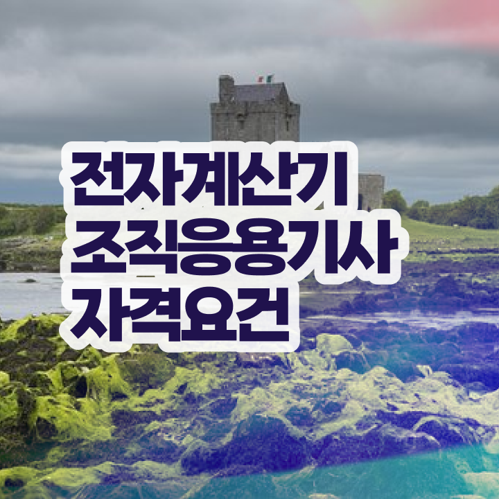  전자계산기조직응용기사 학은제 전자계산기조직응용기사 시험응시조건 인강만 듣고 쉽고 빠르게 준비한 방법