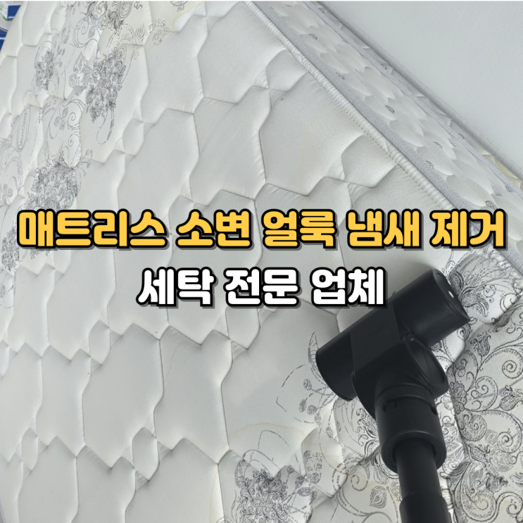  대전 침대 매트리스 청소 소변 얼룩 냄새 확실하게 제거하는 업체