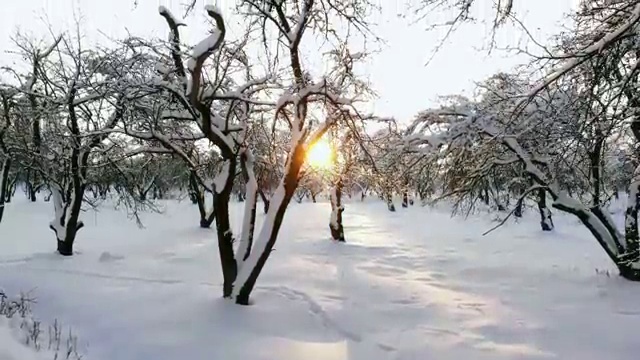  꽃꽂이화기 , 플로리스트 자격증 15일 만에 합격한 비법 , 취업정보