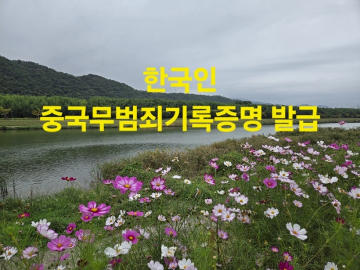  한국인 중국무범죄증명 발급