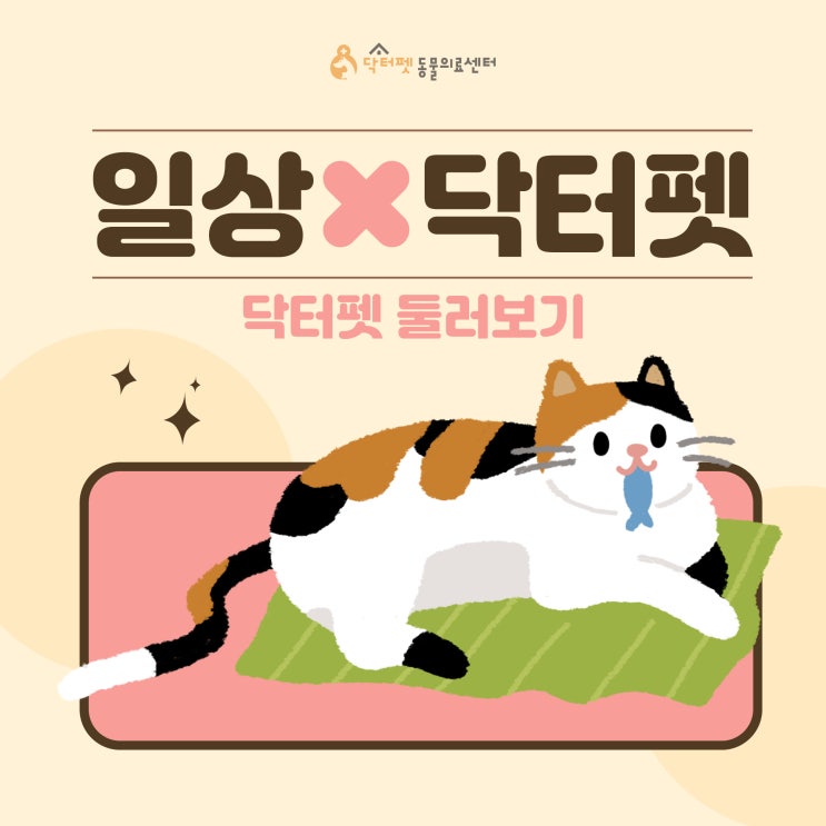  닥터펫동물의료센터 일상 엿보기
